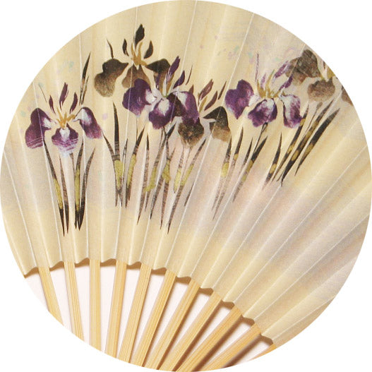 紙扇子 「親茶中白竹 黄地菖蒲」