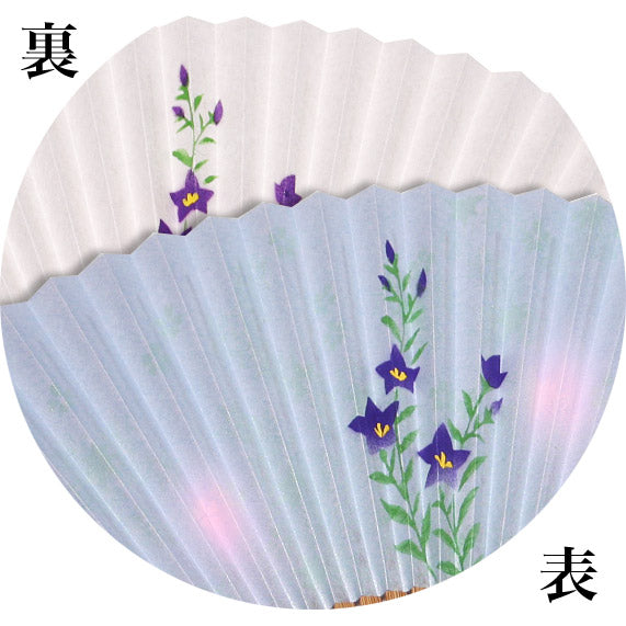 紙扇子 「漉き地両面絵 桔梗」差し袋セット